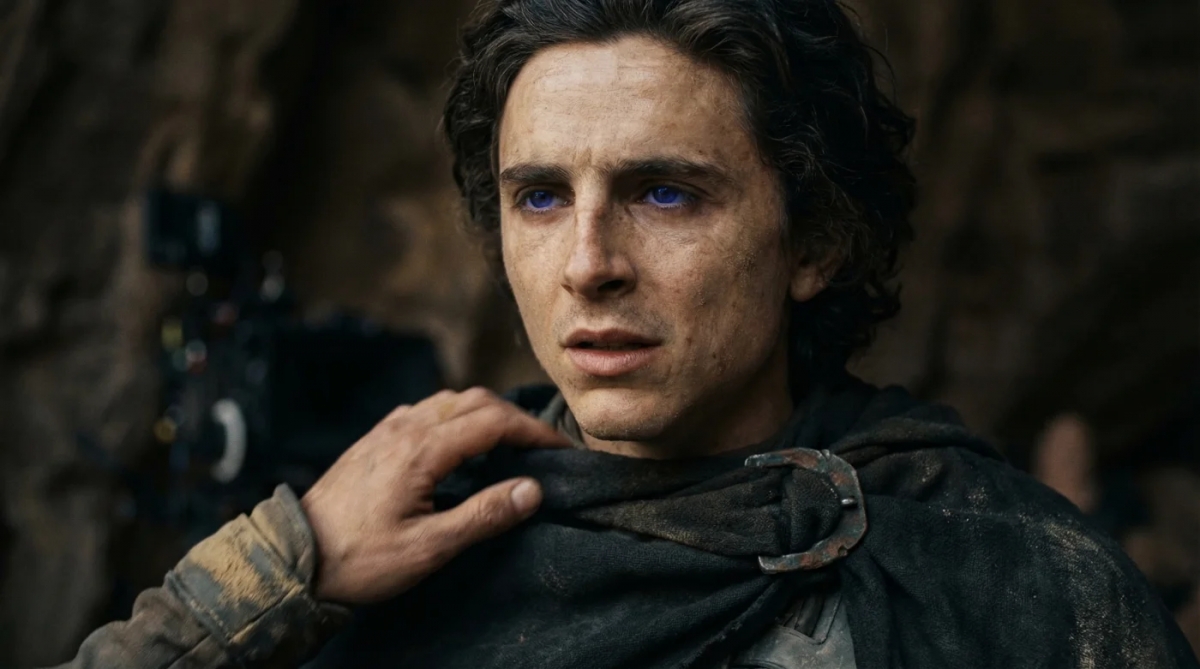 Timothée Chalamet luôn tìm kiếm những vai diễn thử thách bản thân.