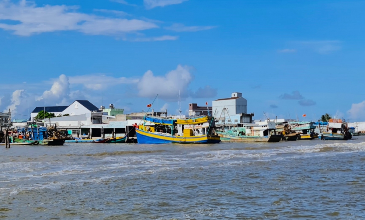 Toàn tỉnh Cà Mau hiện có hơn 5.200 tàu cá, xã Sông Đốc có lượng tàu cá nhiều nhất tỉnh.