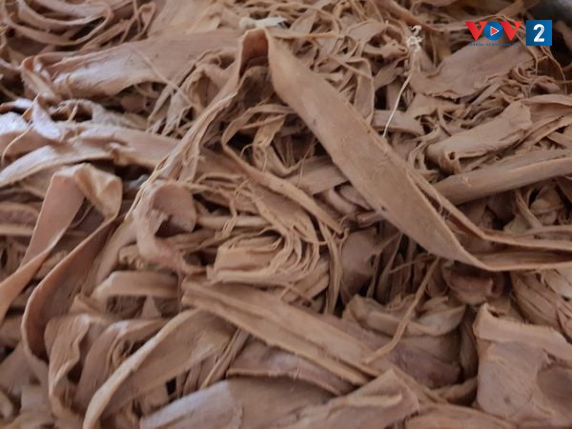 Vỏ dó sau khi ngâm nước vôi và nấu thì được cẩn thận nhặt sạch để cho ra những tờ giấy đẹp