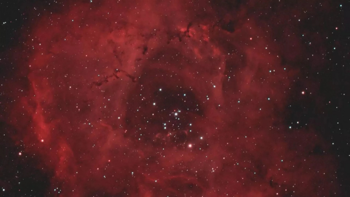 Tinh vân Rosette. (Ảnh: Roscosmos)