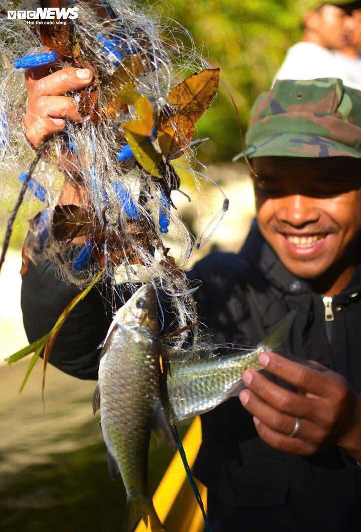 Theo anh Ha Won, loài cá này rất khỏe, mỗi khi dính lưới, cá sẽ vùng vẫy mạnh khiến lưới rối tung lên.