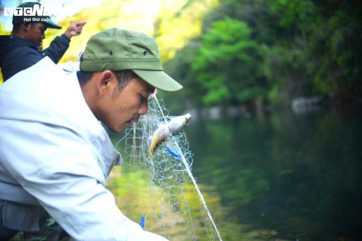 Nhiều thanh niên, trai tráng người K'Ho không giấu được niềm vui mỗi khi mùa xuân đến và họ lại rủ nhau vào rừng, ngược dòng Krông Nô tìm loài cá đặc sản này.