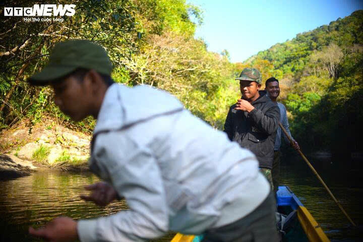Theo các thanh niên trai tráng người K'Ho, loài cá suối này bắt đầu xuất hiện nhiều vào tháng 2 và tháng 3. Muốn tìm thấy loài cá này, mọi người phải chèo ghe ngược dòng Krông Nô rồi thả lưới ở những đoạn suối, thác có địa hình hiểm trở.