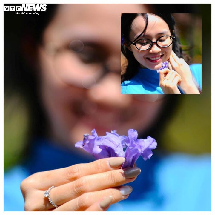 Mùa phượng tím thường kéo dài từ tháng Ba đến hết tháng Tư. Đứng dưới một gốc phượng tím, nghe tiếng chuông nhà thờ vang vọng và hít hà cái không khí se lạnh đặc trưng, người ta mới hiểu vì sao loài hoa này gợi nhớ thương đến thế. Và có lẽ cũng từ khoảnh khắc ấy, trong lòng nhiều người đã kịp hình thành một lời hẹn thầm lặng: sẽ trở lại Đà Lạt, khi mùa phượng tím nở thêm lần nữa.