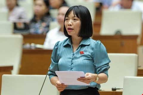Đại biểu Nguyễn Thị Việt Nga - Đoàn ĐBQH TP Hải Phòng