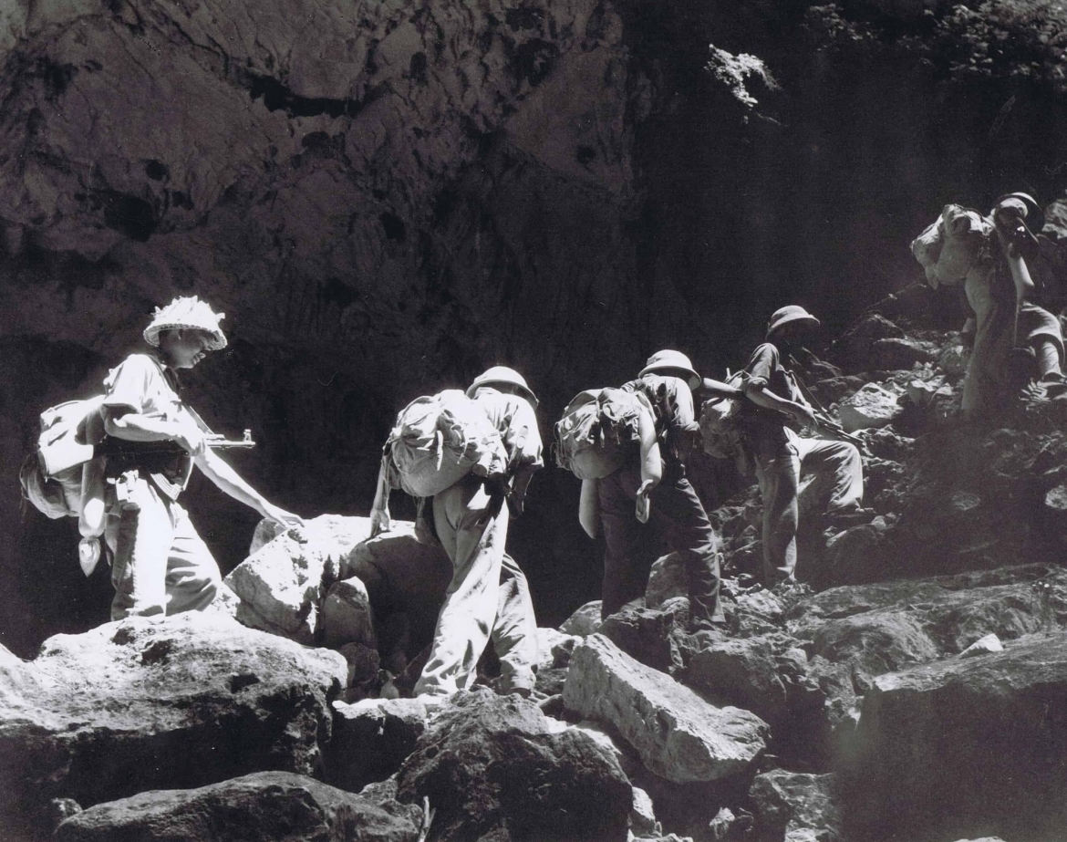 Ảnh minh họa: TL