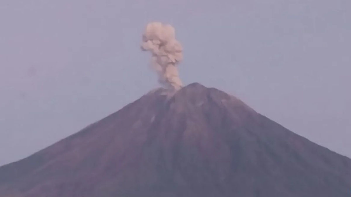 Núi lửa Semeru phun trào với cột tro bụi cao tới 1.000 mét hôm 04-04 (Ảnh: PVMBG Antara)