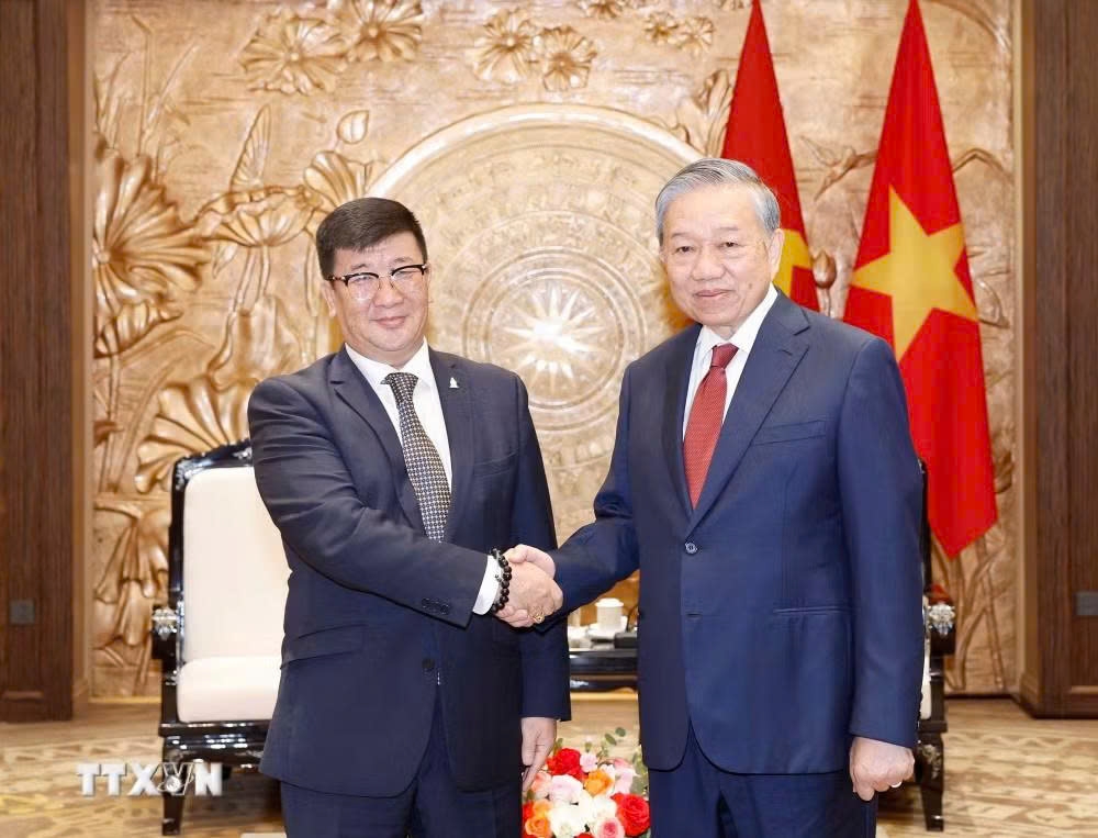 Tổng Bí thư, Chủ tịch nước Tô Lâm tiếp Đại sứ Mông Cổ tại Việt Nam Jigjee Sereejav. (Ảnh: TTXVN)