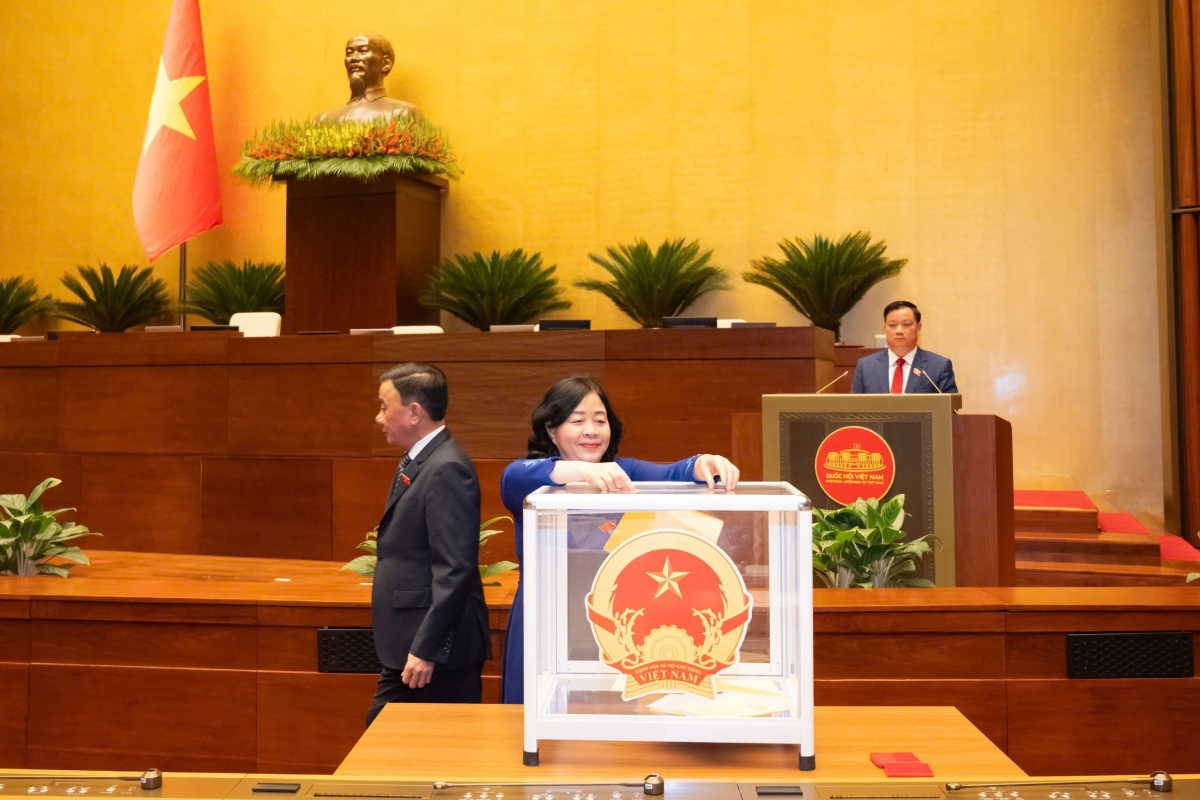 Các đại biểu Quốc hội bỏ phiếu kín.