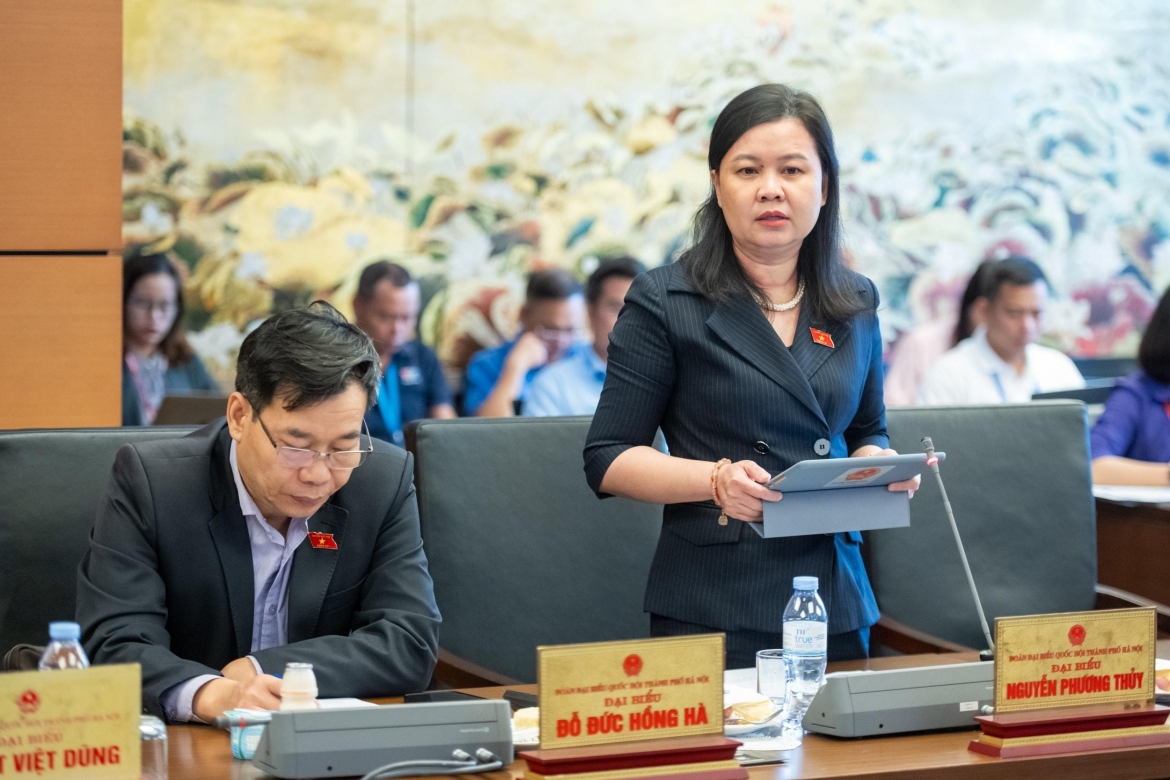 Đại biểu Nguyễn Phương Thủy (Đoàn ĐBQH TP Hà Nội)