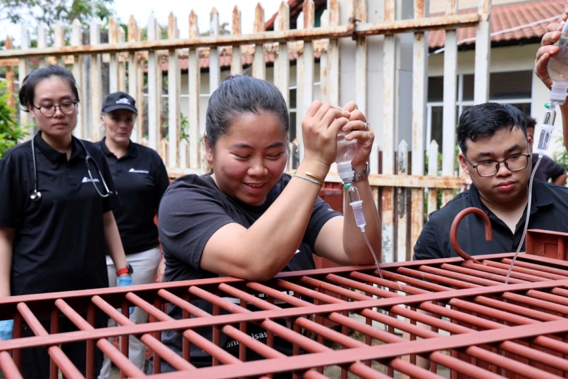 Các chuyên gia cứu hộ gấu