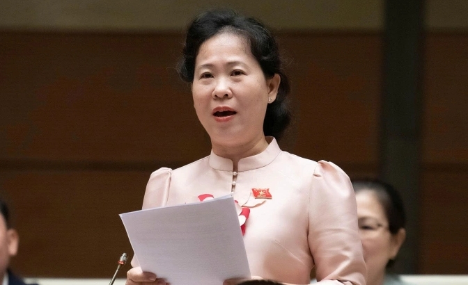 Đại biểu Tô Ái Vang (Đoàn ĐBQH Cần Thơ)