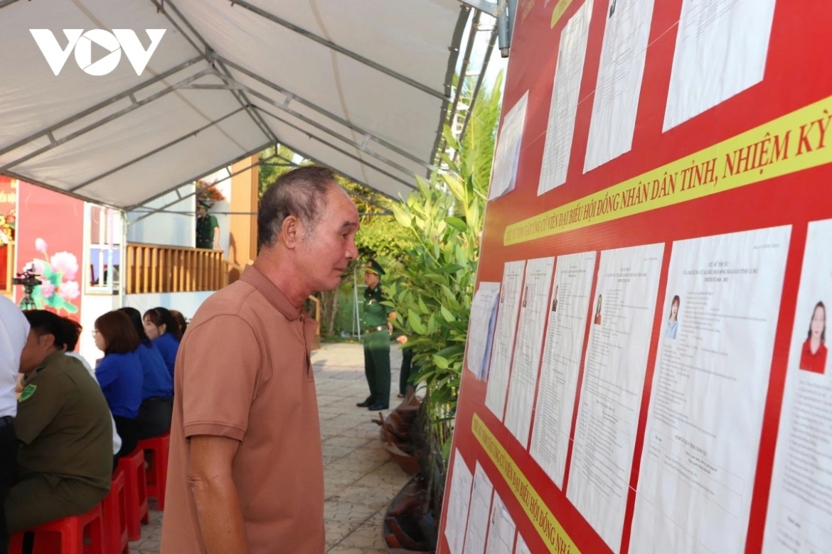 Cử tri Cà Mau nghiên cứu lý lịch đại biểu trước khi bỏ phiếu.