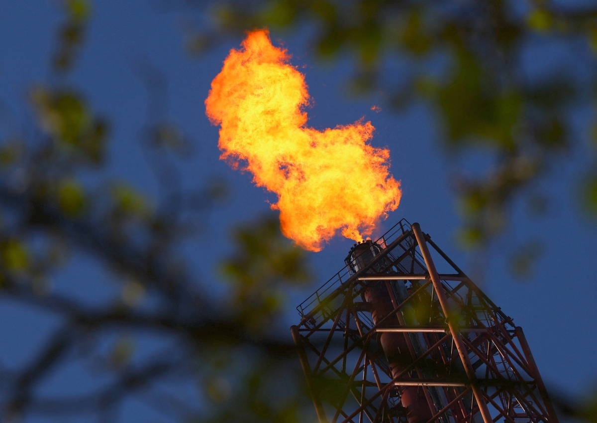 Ảnh minh họa: Reuters