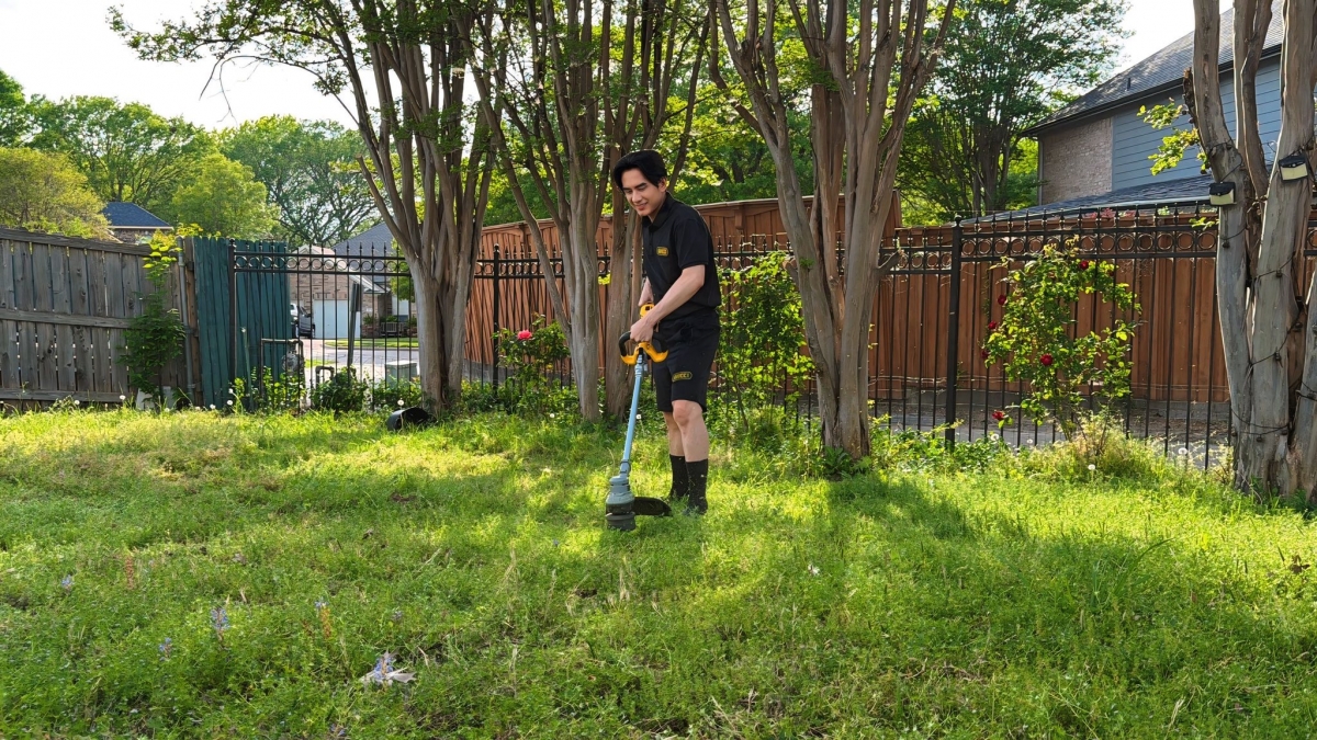 Ca sĩ Đan Trường mang đến loạt câu chuyện đời thường khi tự tay cắt cỏ tại nhà ở Mỹ. Từ việc mượn máy cắt cỏ của hàng xóm đến tình huống được hỏi về danh tiếng, câu chuyện khiến fan vừa bật cười vừa thấy gần gũi.