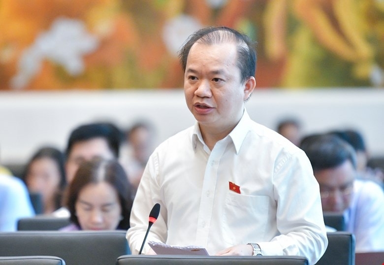 Đại biểu Bùi Hoài Sơn (Đoàn ĐBQH TP Hà Nội)