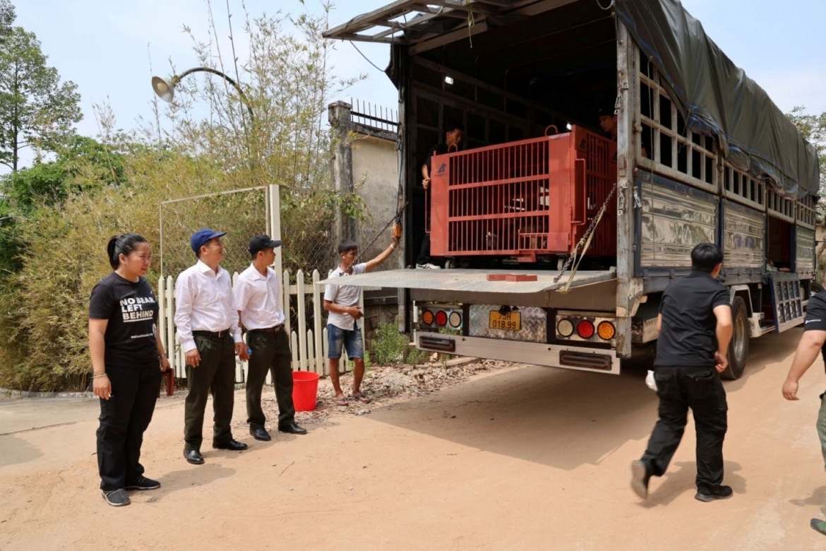Đưa 4 chú gấu từ thành phố Hồ Chí Minh về Huế