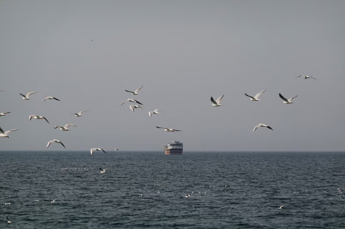 20 tàu thương mại đi qua eo biển Hormuz trong 1 ngày (Ảnh minh họa: Reuters).