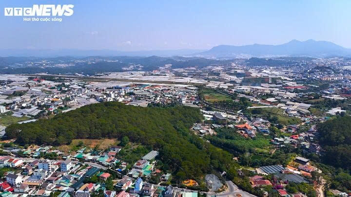 Cụ Nguyễn Hữu Hào quê gốc ở Gò Công, Tiền Giang cũ, nay là tỉnh Đồng Tháp. Vào những năm 1920, thế kỷ XX, cụ Nguyễn Hữu Hào là người giàu có, sở hữu nhiều đồn điền trồng lúa, cao su ở vùng Tây Nam bộ, Đông Nam bộ và Tây Nguyên. Cụ Nguyễn Hữu Hào kết hôn cùng bà Lê Thị Bính, sinh được hai người con. Trong đó con thứ hai là bà Nguyễn Hữu Thị Lan trở thành vợ của vua Bảo Đại (Nam Phương hoàng hậu).