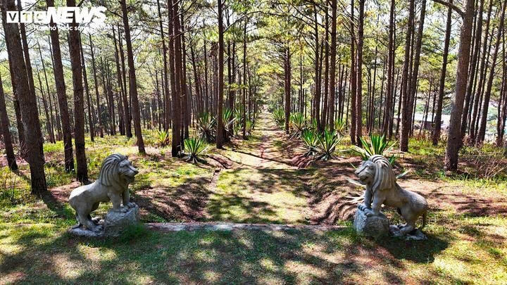 Hai con sư tử đá được đặt ở bậc cuối cùng trước khi tiến vào tham quan khu chính của quần thể lăng tẩm Quận công Nguyễn Hữu Hào và bà Nhị phu nhân Lê Thị Bình.