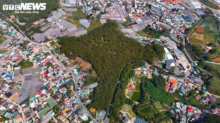 Sau lễ cưới, vua Bảo Đại phong Nguyễn Hữu Thị Lan là Nam phương Hoàng hậu. 3 năm sau, tức ngày 30/7/1937, vua Bảo Đại phong tước cho cụ Nguyễn Hữu Hào là Long Mỹ Quận công. Đến tháng 8/1937, cụ Nguyễn Hữu Hào qua đời ở Đà Lạt. Khi cụ Nguyễn Hữu Hào qua đời, vua Bảo Đại cùng Nam phương Hoàng hậu chọn quả đồi phía Tây Nam trung tâm Đà Lạt, đối diện thác Cam Ly (nay thuộc phường Cam Ly - Đà Lạt,Lâm Đồng) xây dựng lăng mộ, làm nơi an nghỉ cho cụ. Ngay nay, lăng mộ của cụ nằm ngay cửa ngõ đi đến làng hoa Vạn Thành được bao phủ bởi rừng thông xanh mát quanh năm.