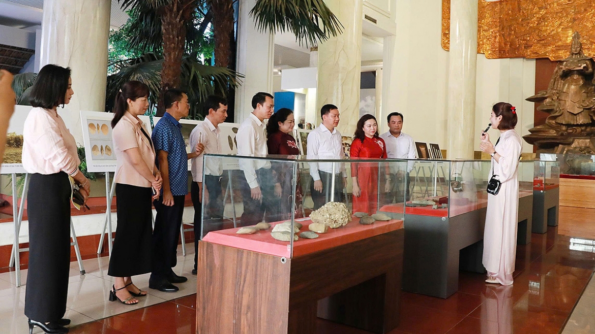 Bảo tàng Hùng Vương trưng bày chuyên đề “Văn hóa thời đại Hùng Vương – Tinh hoa hội tụ”. (Ảnh: BTHV)