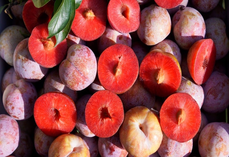 Không chỉ là loại trái cây giải nhiệt quen thuộc trong mùa hè, mận còn mang lại nhiều lợi ích cho sức khỏe nếu được sử dụng hợp lý