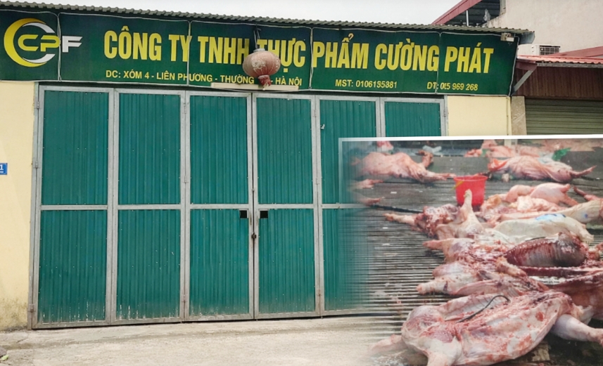 Thịt lợn bệnh phát hiện tại Công ty thực phẩm Cường Phát.