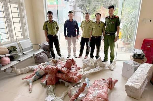 Số phôi cây muội hồng ký gửi tại điểm Bưu điện xã Cẩm Thạch được lực lượng chức năng phát hiện, tạm giữ để xác minh làm rõ. (Ảnh: CATH)