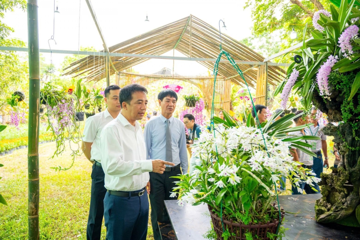 Tại triển lãm trưng bày phong lan, cây kiểng, đá cảnh 3 miền năm 2026
