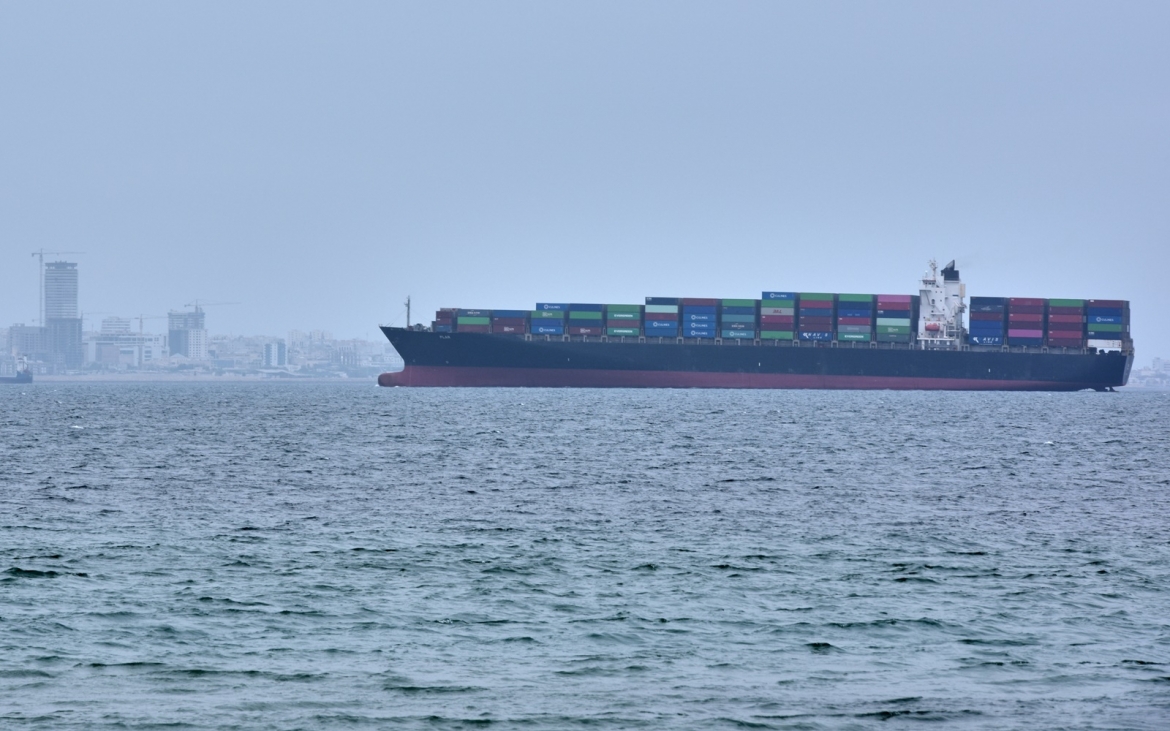 Tàu container tại eo biển Hormuz. Ảnh: AP.