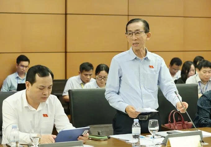 Đại biểu Trần Hoàng Ngân, đoàn ĐBQH TP.HCM