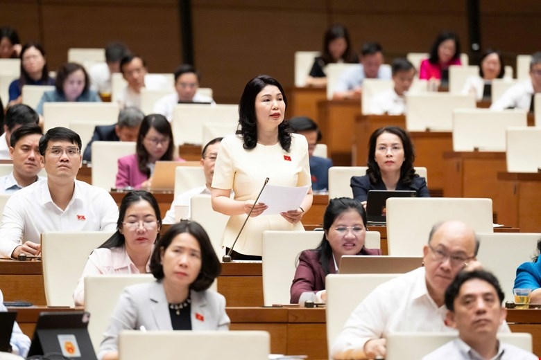 Đại biểu Tràn Thị Vân, đoàn ĐBQH tỉnh Bắc Ninh