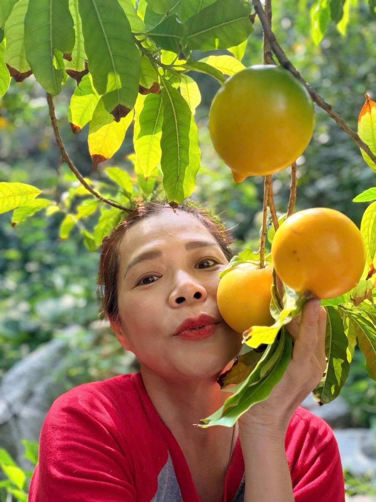 Ca sĩ Mỹ Lệ khoe "vườn cây trái bạt ngàn, đầy đủ các loại trên đời".