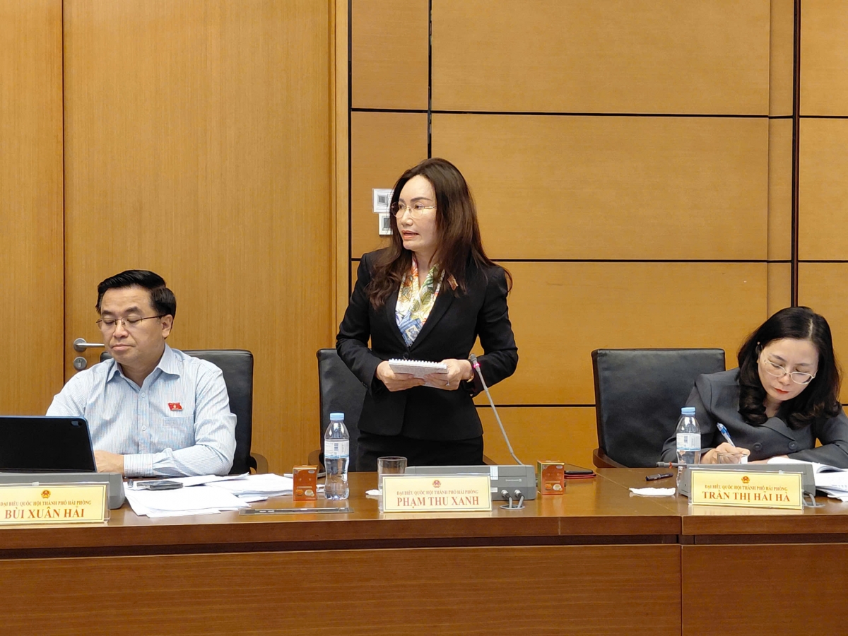 Đại biểu Phạm Thu Xanh (đoàn Hải Phòng)