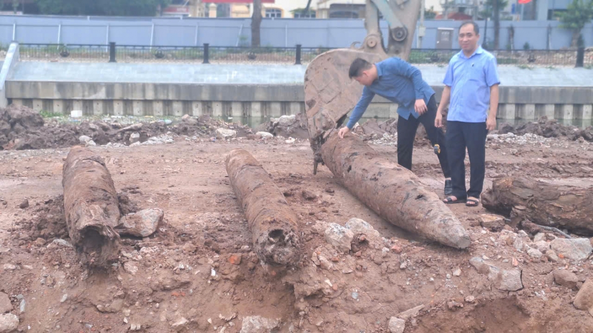 Cọc có chiều dài từ 3,76m đến 4,15m, chu vi thân từ 1,16m đến 1,46m. Ảnh: T.L