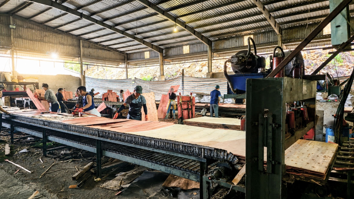 Việc tháo gỡ khó khăn cho doanh nghiệp giúp giữ vững sinh kế cho hàng trăm lao động thuộc Công ty TNHH sản xuất chế biến lâm sản Lào Cai