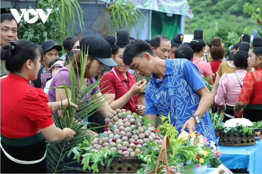 Mận Phiêng Khoài ngon hơn và có giá cao hơn các vùng khác, nhưng luôn được thị trường ưa chuộng; đầu mùa mận có giá 80.000 - 100.000 đồng/kg