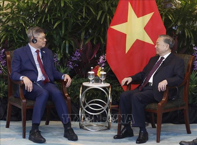 Tổng Bí thư, Chủ tịch nước Tô Lâm tiếp ông Bob Chi, Tổng Giám đốc điều hành Công ty SATS. Ảnh: Thống Nhất/TTXVN