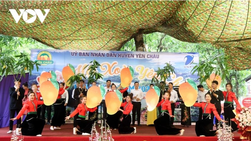 Ngày hội xoài được huyện Yên Châu trước đây tổ chức hàng năm, bắt đầu từ 2017