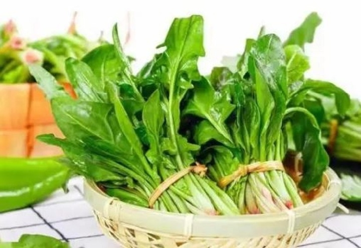 Cải bó xôi lá nhọn