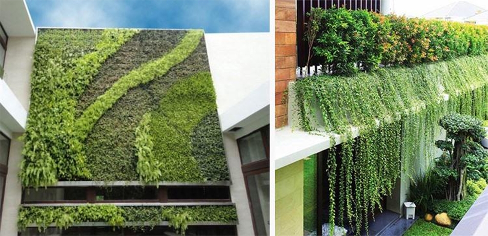 Ngoài hiệu quả chống nóng, cây xanh còn giúp giảm cảm giác ngột ngạt.