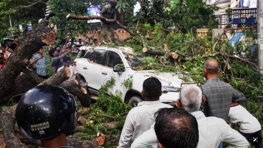 Hình ảnh thiệt hại do bão ở bang Uttar Pradesh ngày 13/5/2026. Ảnh: PTI