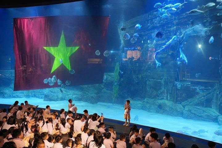 Những chú cá cùng các màn biểu diễn đặc sắc sẽ khiến các bé không thể rời mắt. (Ảnh: Lotte World Aquarium)