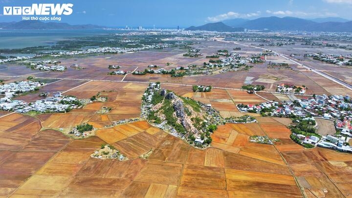 Hiện UBND xã Tuy Phước Đông nhận định, núi Xương Cá có tiềm năng lớn để phát triển du lịch sinh thái gắn với văn hóa dân gian nhờ hình thù độc đáo và vị trí nổi bật giữa vùng đồng bằng ven đầm Thị Nại, rất hiệu quả để khai thác tiềm năng du lịch.