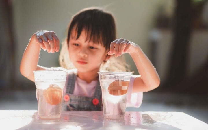 Các em bé đam mê khoa học sẽ đặc biệt thích đồ chơi Stem (Ảnh minh họa: Crown Kiddo)