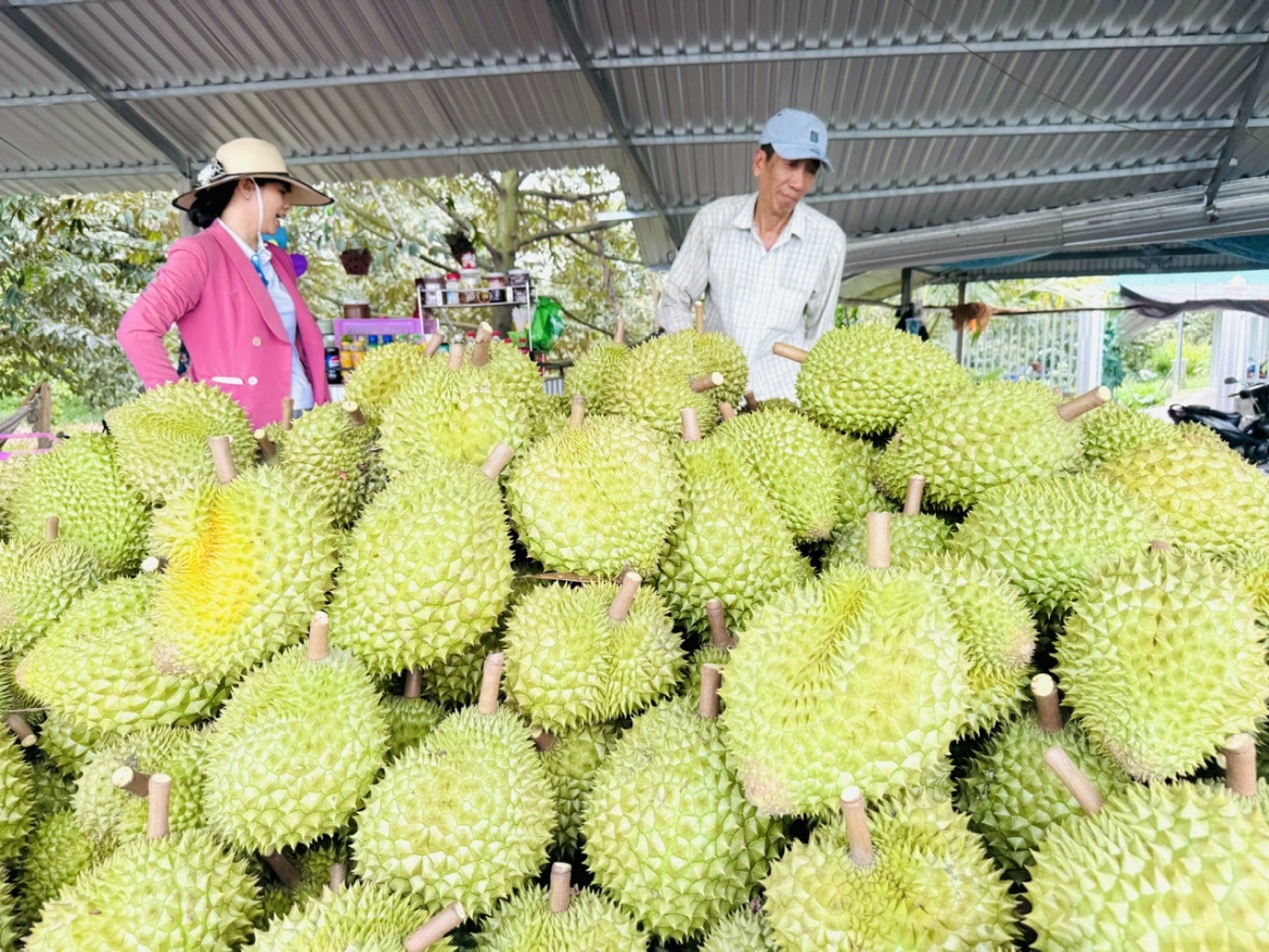 Sầu riêng của Việt Nam chinh phục được nhiều thị trường khó tính