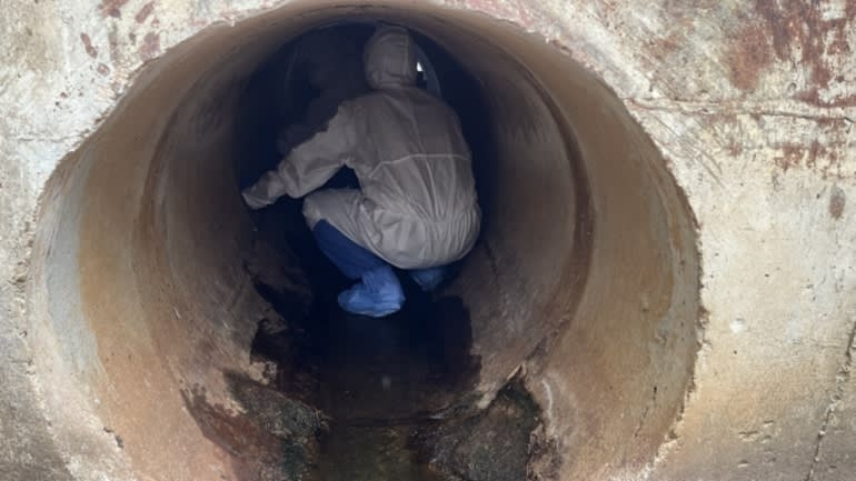 Nhóm nghiên cứu Đại học Tokyo lấy mẫu virus từ dơi ở Thái Lan. Ảnh: Giáo sư Kei Sato thuộc Đại học Tokyo