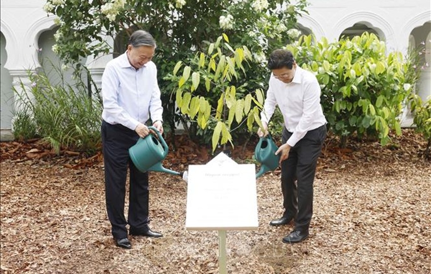 Trong khuôn khổ chuyến thăm, ngày 30/5, Tổng Bí thư, Chủ tịch nước Tô Lâm đã dự Lễ trồng cây tại Vườn Bách thảo Singapore do Thủ tướng Lawrence Wong chủ trì. Kết thúc các hoạt động tại Singapore, sáng nay (31/5), Tổng Bí thư, Chủ tịch nước Tô Lâm cùng Phu nhân và Đoàn đại biểu cấp cao nước ta rời sân bay Quốc tế Changi lên đường thăm cấp Nhà nước tới Philippines theo lời mời Tổng thống Ferdinand Romualdez Marcos Jr. và Phu nhân. Tiễn đoàn tại sân bay có Bộ trưởng Bộ phát triển số và Thông tin Josephine Teo, Đại sứ Singapore tại Việt Nam Rajpal Singh, Đại sứ Việt Nam tại Singapore Trần Phước Anh cùng Phu nhân và cán bộ nhân viên Đại sứ quán.