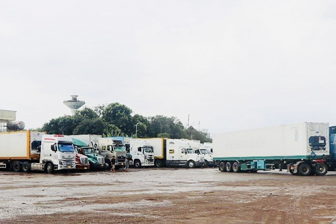 Đồng Nai xử lý tình trạng nhiều xe container chở sầu riêng dừng, đỗ không đúng quy định 